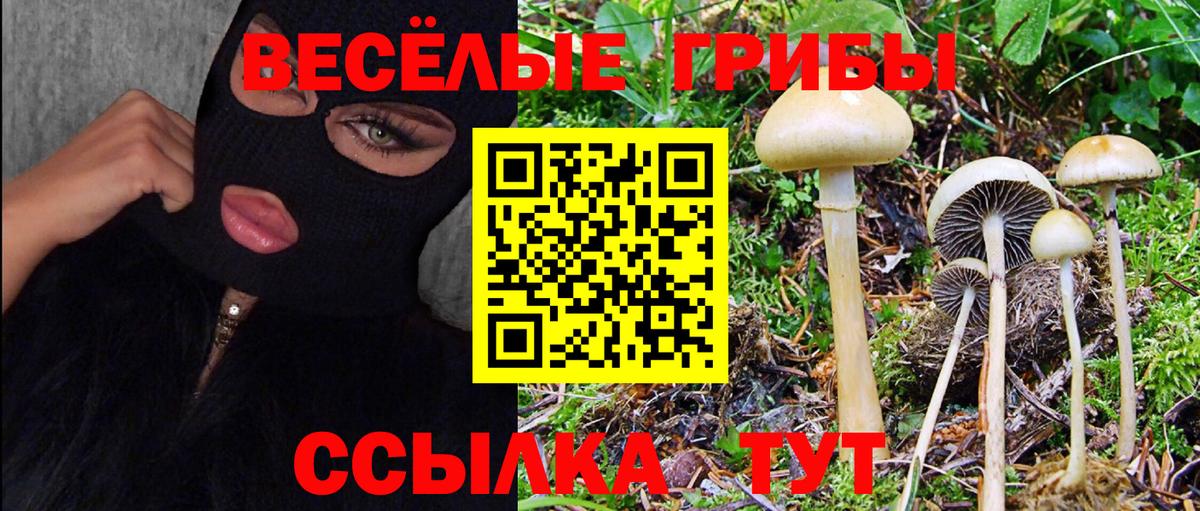 Кушва  Галлюциногенные грибы ЛСД  Вход с VPN 