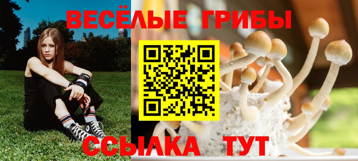 Псилоцибиновые грибы Magic Shrooms Кушва